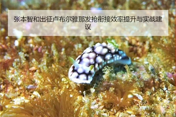 张本智和出征卢布尔雅那发抢衔接效率提升与实战建议