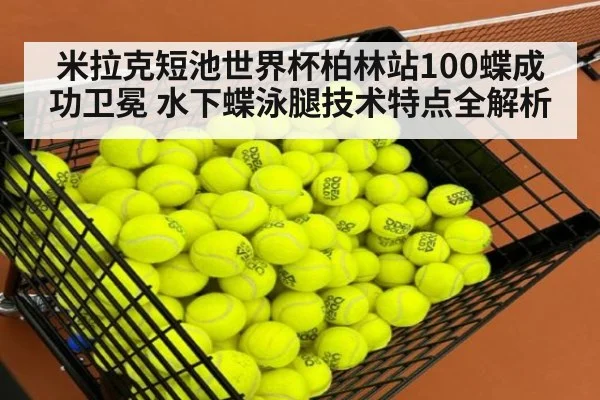 米拉克短池世界杯柏林站100蝶成功卫冕 水下蝶泳腿技术特点全解析