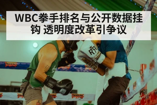 WBC拳手排名与公开数据挂钩 透明度改革引争议