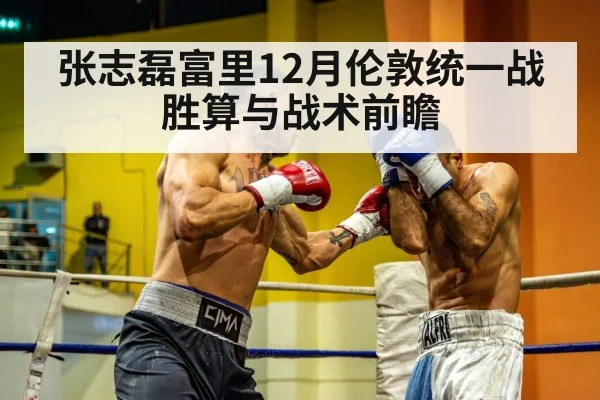 张志磊富里12月伦敦统一战 胜算与战术前瞻